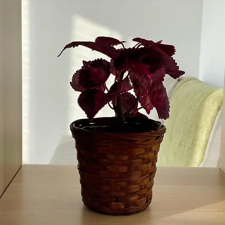 T3 Centre Apartment *